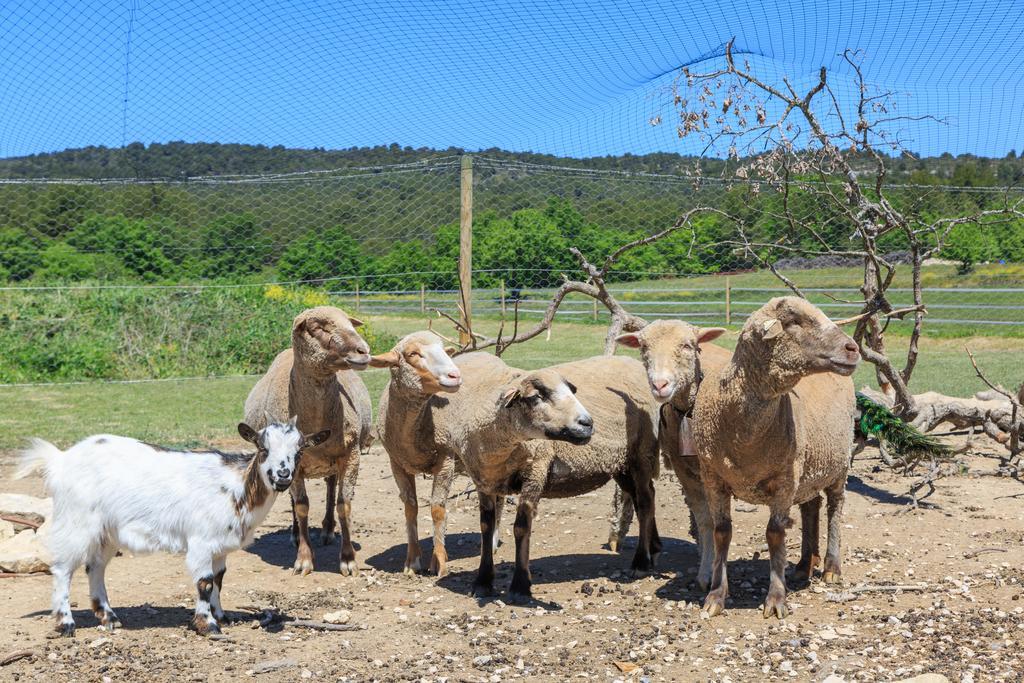 Villa Le Luberon Lou Mas Li Pitchoun à Gordes Extérieur photo